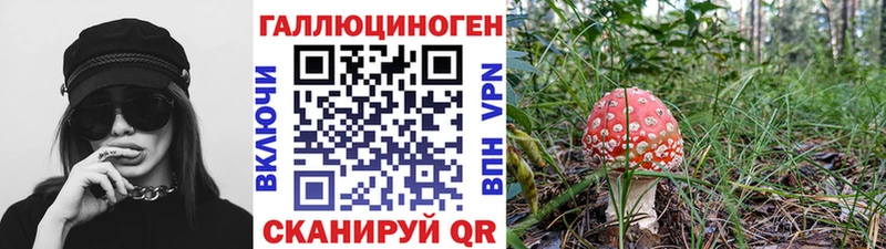 Псилоцибиновые грибы Cubensis  Купить где  Щучье 